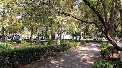 Artificial Lake Lincoln Park