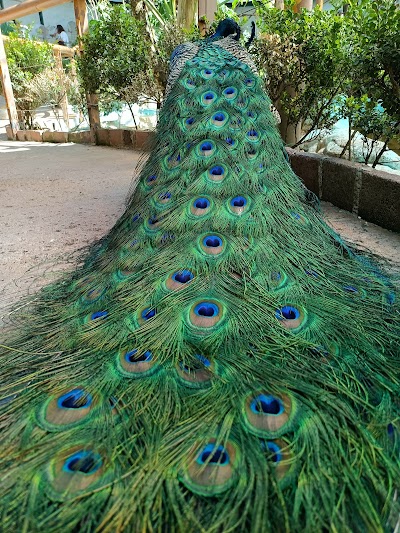 Aviario parque Lincoln
