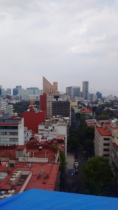 Campos Elíseos 387